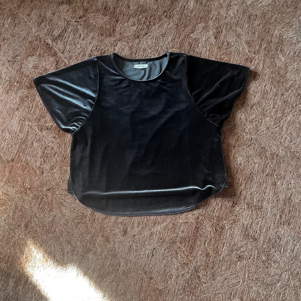 Madewell grey velvet slightly cropped flutter sleeve top